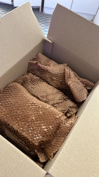 1717582122_1.jpeg?f=webp&w=200