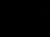 1717588653_3.jpeg?f=webp&w=200