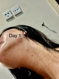 1718925653_1.jpeg?f=webp&w=200