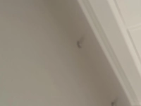 1719978001_1.jpg?f=webp&w=200