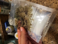 1720573187_2.jpg?f=webp&w=200