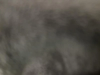 1720615174_1.jpeg?f=webp&w=200