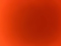1721348436_1.jpg?f=webp&w=200