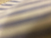 1722551503_2.jpg?f=webp&w=200