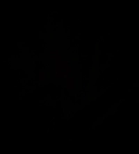 1722866471_1.jpeg?f=webp&w=200