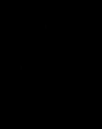 1722866471_2.jpeg?f=webp&w=200