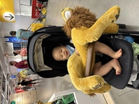 1724104191_1.jpeg?f=webp&w=200