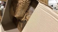 1724315367_1.jpeg?f=webp&w=200