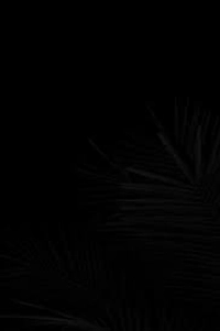 1725976391_1.jpeg?f=webp&w=200