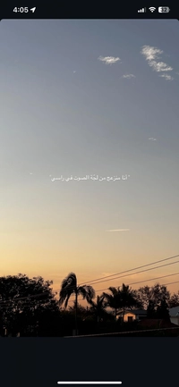 1727185725_1.png?f=webp&w=200