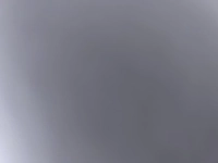 1727758426_1.jpg?f=webp&w=200
