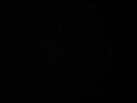 1727774999_1.jpg?f=webp&w=200
