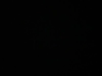 1727774999_2.jpg?f=webp&w=200