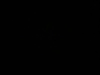 1727775903_3.jpg?f=webp&w=200