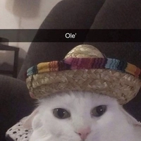 1728401137_1.jpeg?f=webp&w=200