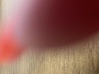 1728910775_1.jpg?f=webp&w=200