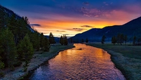 1729545055_1.jpg?f=webp&w=200