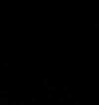 1729712303_1.jpeg?f=webp&w=200
