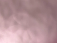 1729835383_1.jpg?f=webp&w=200