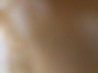 1730073195_2.jpg?f=webp&w=200