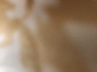 1730073196_3.jpg?f=webp&w=200