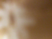 1730073338_2.jpg?f=webp&w=200