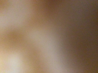 1730073338_3.jpg?f=webp&w=200