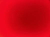 1730316566_1.jpg?f=webp&w=200