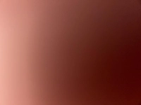 1730639279_1.jpg?f=webp&w=200