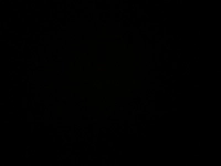 1730997566_2.jpg?f=webp&w=200