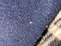 1731148000_1.jpg?f=webp&w=200