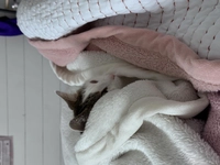 1731559402_3.jpeg?f=webp&w=200