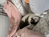 1731559457_2.jpeg?f=webp&w=200