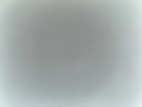 1732123731_1.jpg?f=webp&w=200