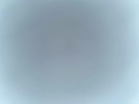 1732123984_1.jpg?f=webp&w=200