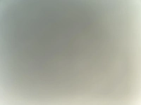 1732124443_1.jpg?f=webp&w=200