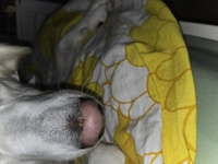 1732128669_1.jpg?f=webp&w=200