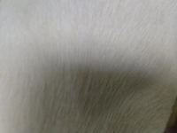 1732131023_1.jpg?f=webp&w=200