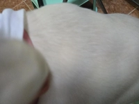 1732131262_1.jpg?f=webp&w=200