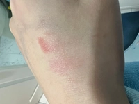1732186786_1.jpeg?f=webp&w=200