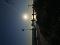 1732428018_1.jpeg?f=webp&w=200