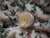 1732977230_2.jpeg?f=webp&w=200