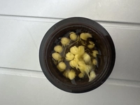 1733047307_1.jpg?f=webp&w=200