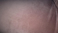 1733557631_1.jpg?f=webp&w=200
