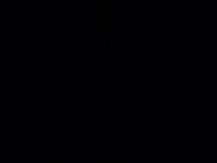 1734489194_1.jpg?f=webp&w=200