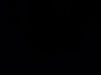 1734489456_2.jpg?f=webp&w=200