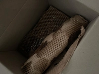 1734671279_3.jpeg?f=webp&w=200