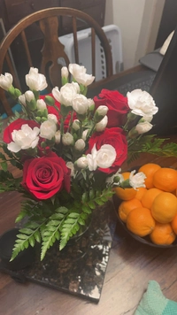 1734916923_1.jpeg?f=webp&w=200
