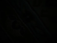 1735079139_1.jpg?f=webp&w=200