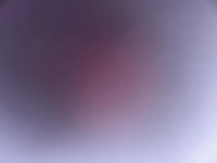 1735155784_1.jpg?f=webp&w=200